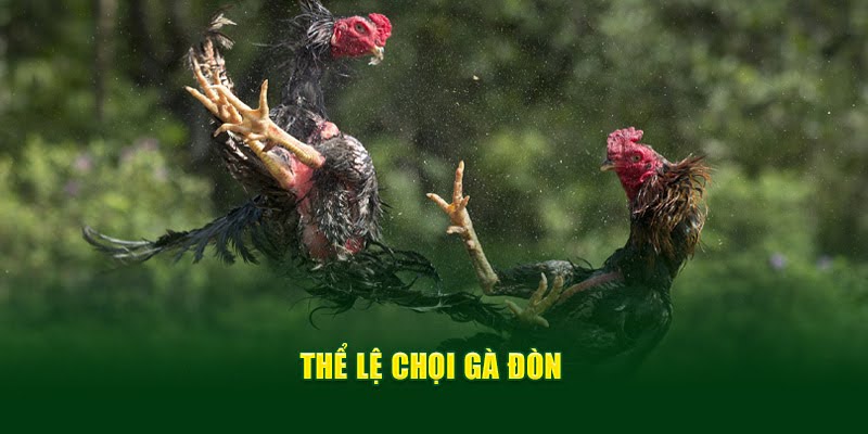 Thể lệ đá gà đòn